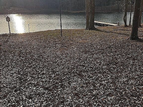 5th image of 1448 Bohannon Rd