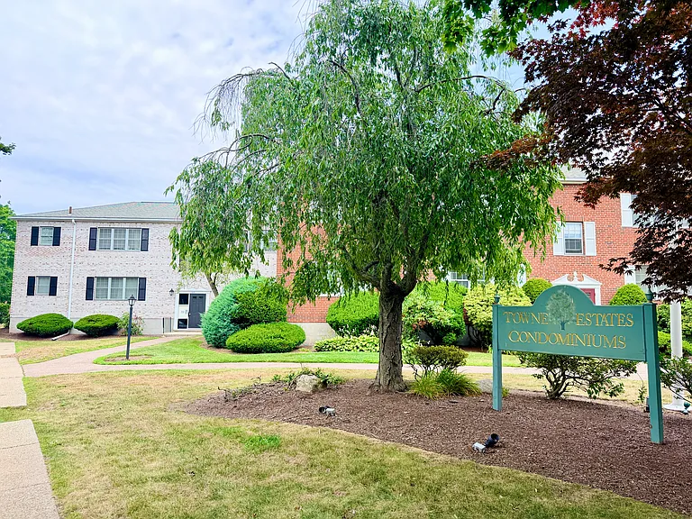 185 Lake Shore Rd #1 — Photo 19