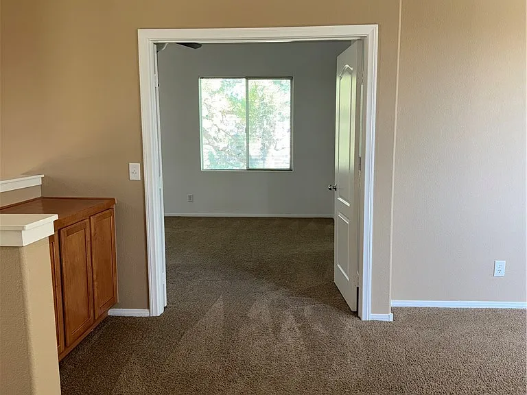 10519 Allegrini Dr — Photo 17