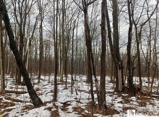 0 Nys Route 16 Rd #16, Allegany, NY 14706