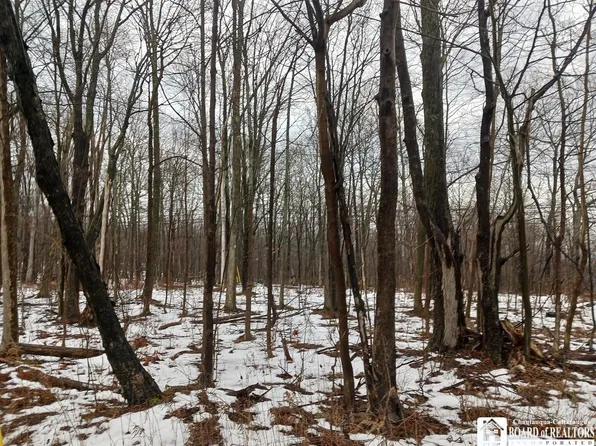 0 Nys Route 16 Rd #16, Allegany, NY 14706