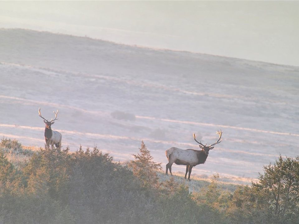 1st image of 314 Oilfield Rd