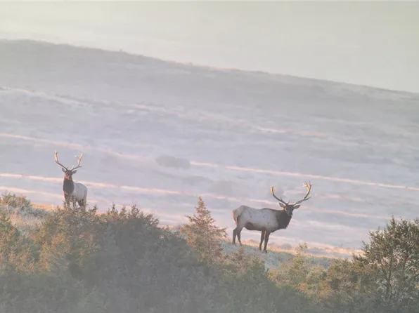 314 Oilfield Rd, Fallon, MT 59326