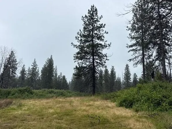 10703 Oroville Quincy Hwy, Berry Creek, CA 95916