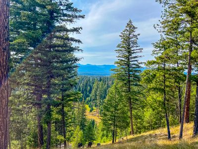 Nhn Black Bear Ct, Seeley Lake, MT, 59868