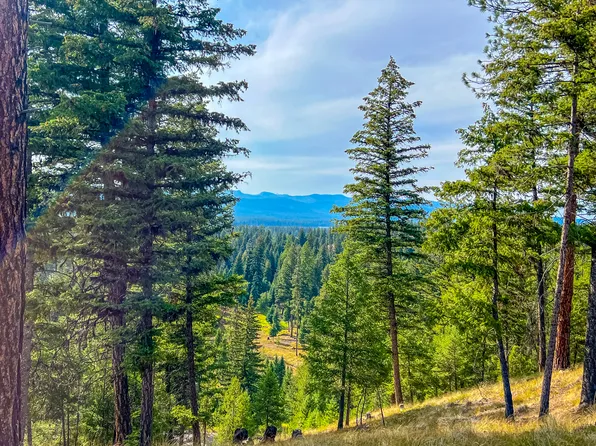 Nhn Black Bear Ct, Seeley Lake, MT 59868