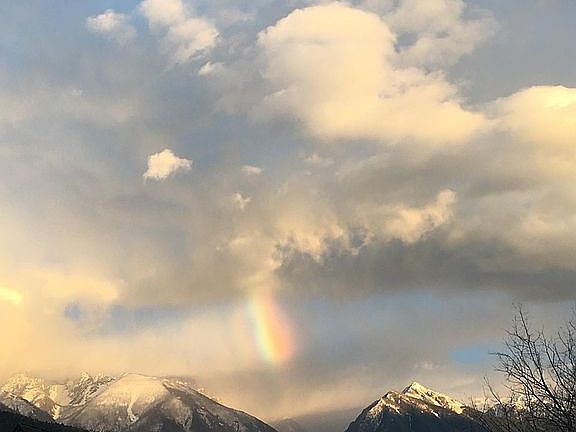 View toward Pine Creek from road below house.