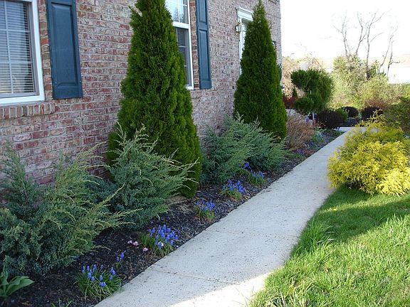 Landscaping in place