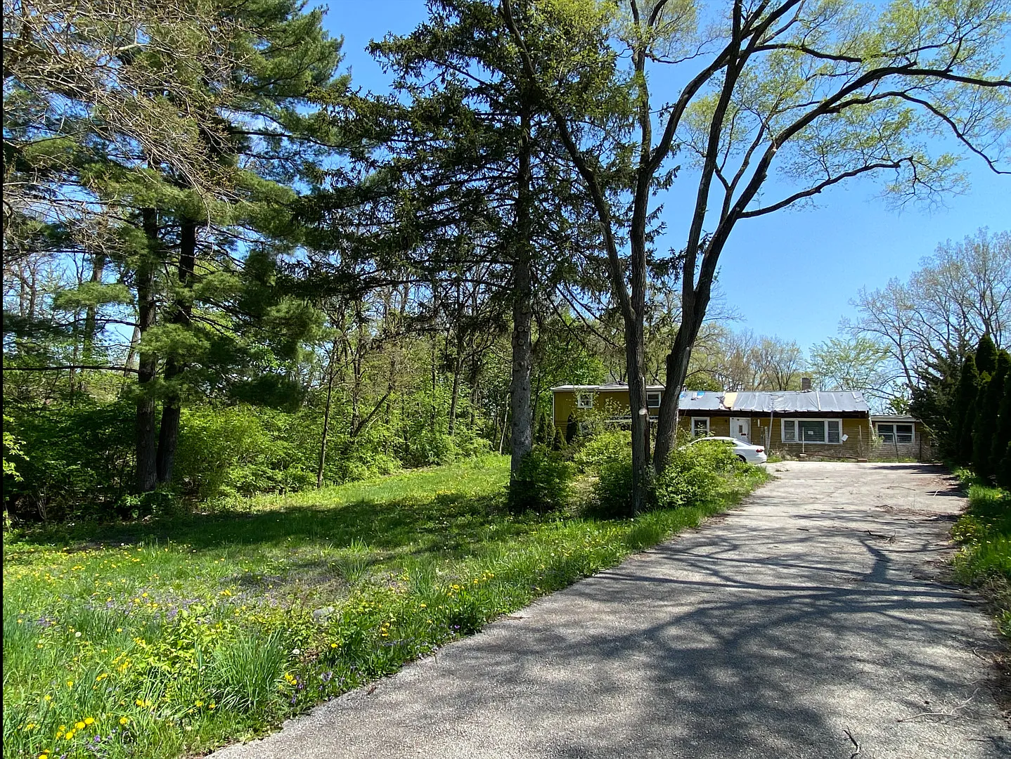 11301 Bell Rd photo 1