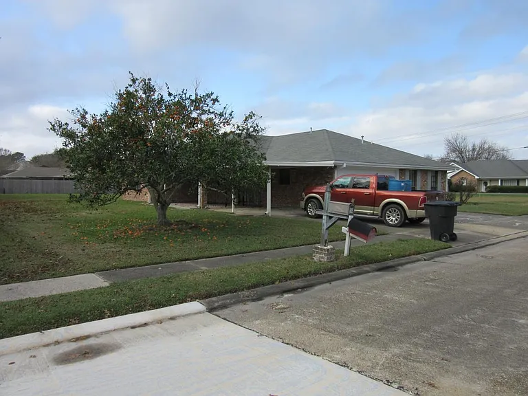 Corner lot, with Satsuma tree