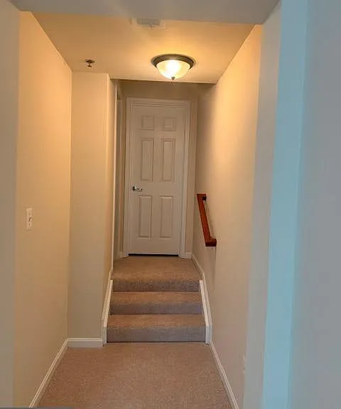 7047 Huntley Run Pl #115 — Photo 43
