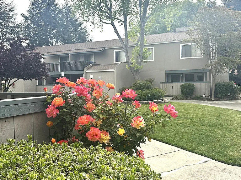 Windsor Garden Apartments — Photo 22