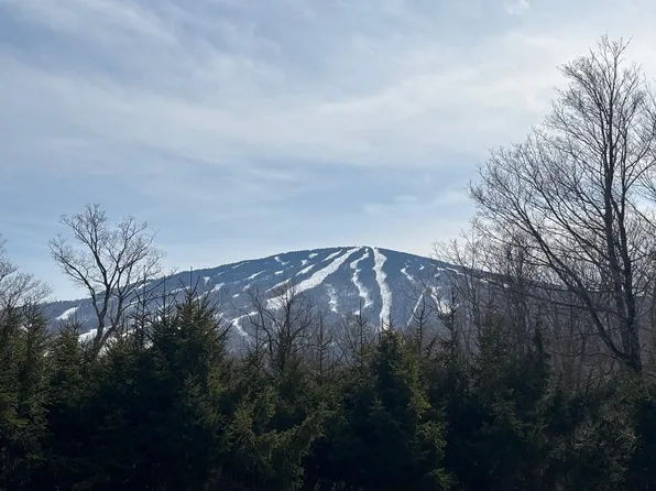 5 Red Hickory Road, Winhall, VT 05340