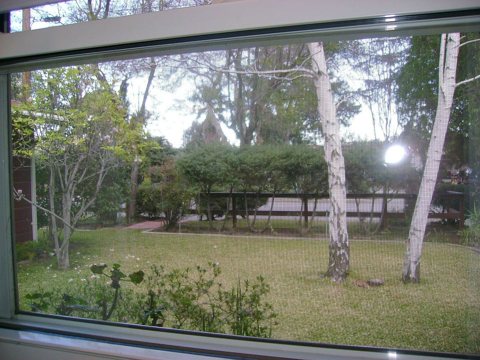 Spacious Land