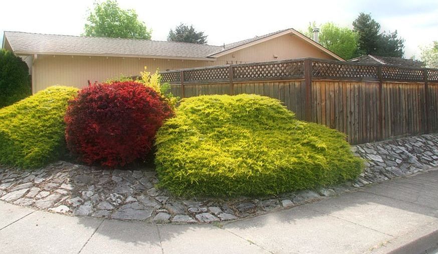 2nd image of 2474 Greenbrook Dr