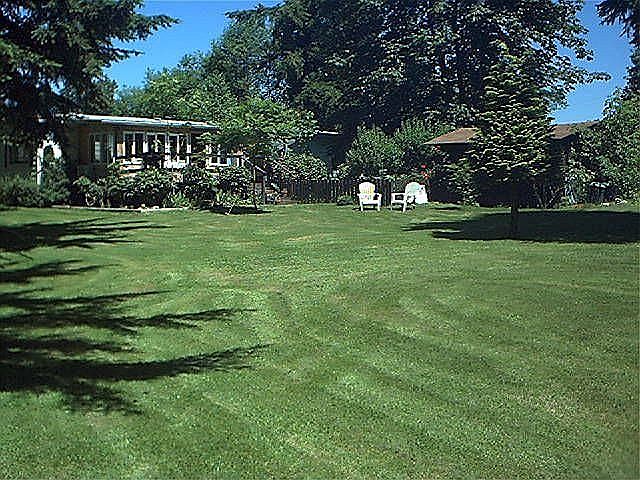 Back yard