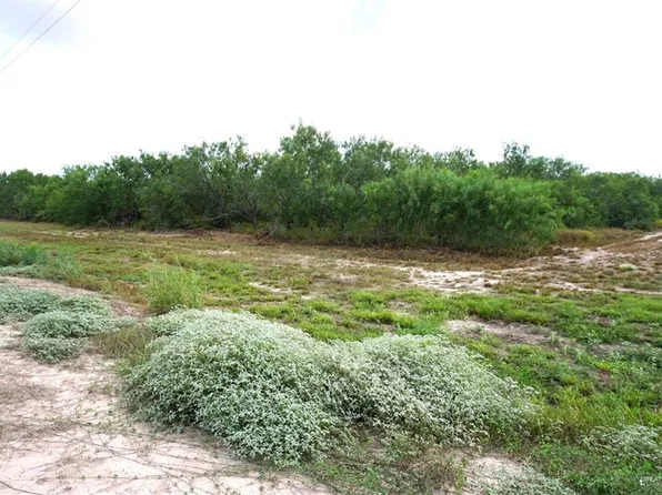 3/4 W Fm 2812, Edinburg, TX 78541