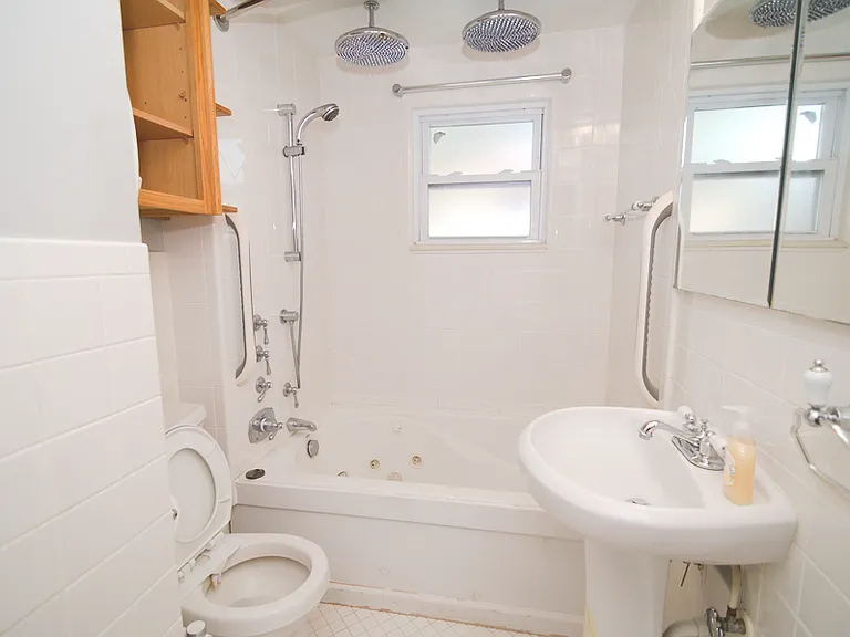 Lower bathroom - double rainfall shower