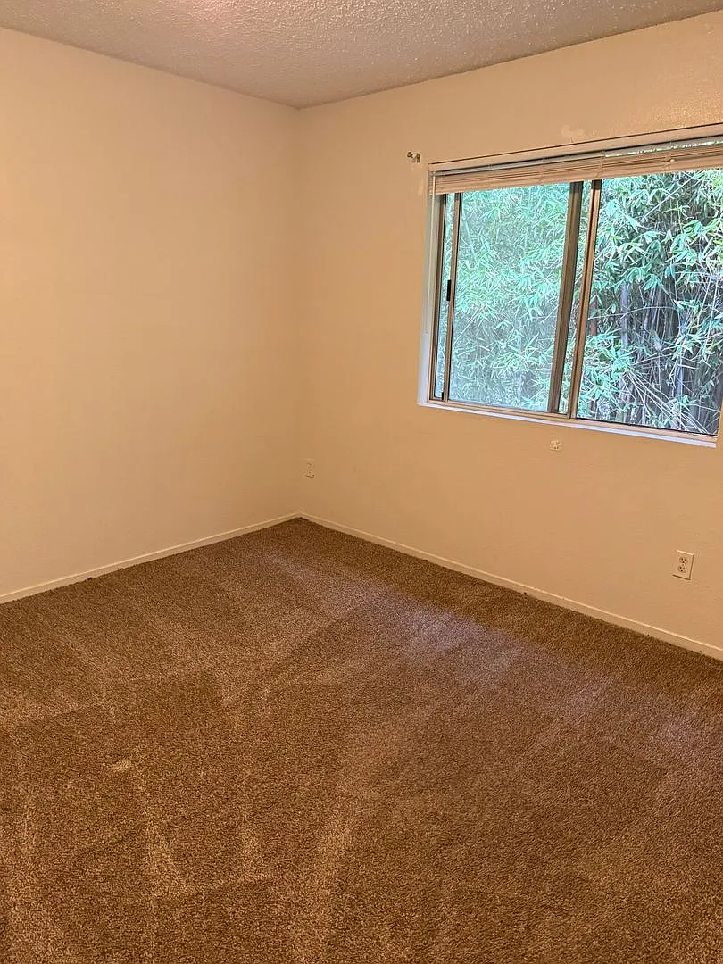 038- 3313 Chester Ln — Photo 2