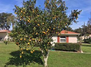 7 Tangerine Rd, Yalaha, FL 34797