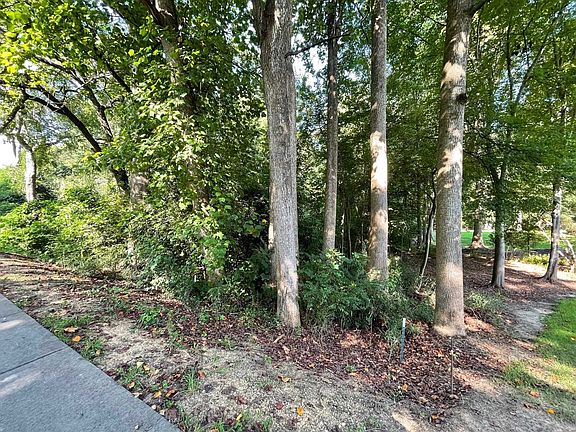 4th image of N Willow St Lot 1