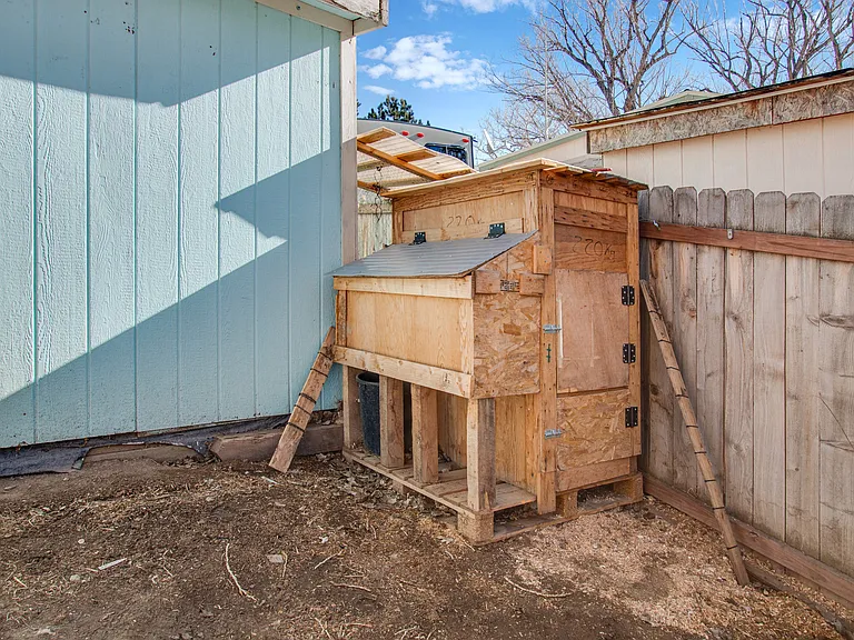 You could have fresh eggs everyday in your own chicken coop!