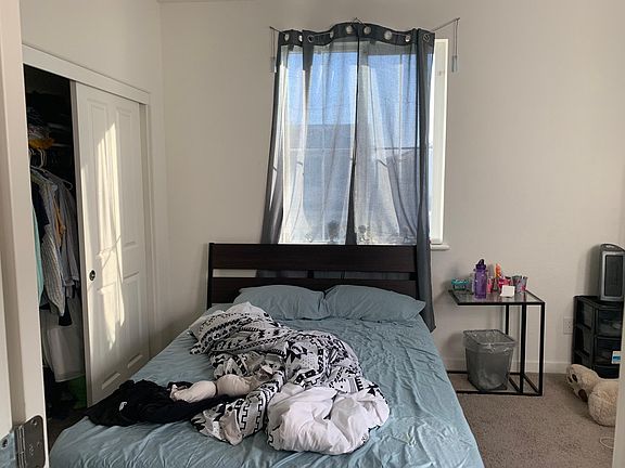 5th image of 3009 Ivy Creek Ln