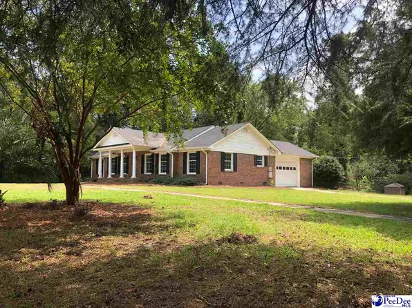 4720 Armfield Rd, Effingham, SC 29541