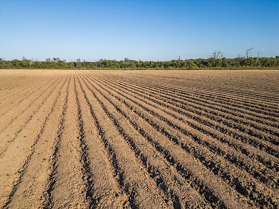 Hipped Rows on East Track