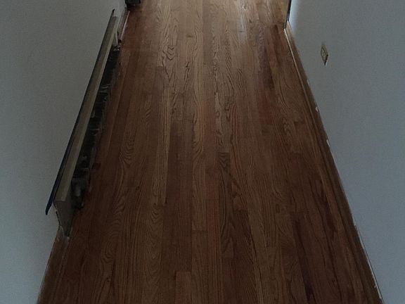 3rd image of 2831 Rose St APT 2