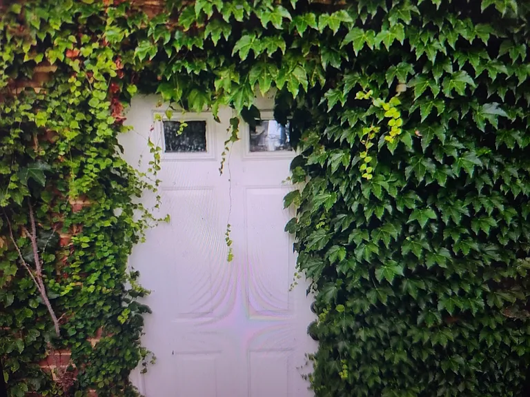 1211 Fern St NW — Photo 1
