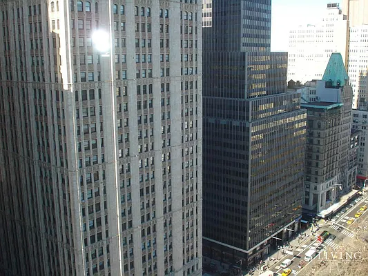 Rented by NY Living Solutions | media 6