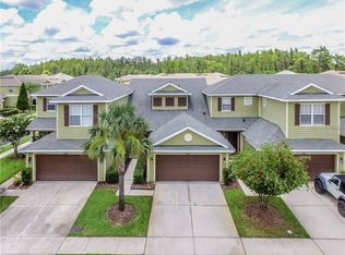 8542 Sandpiper Ridge Ave, Tampa, FL 33647