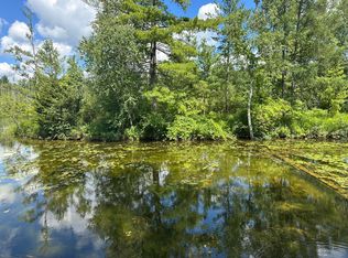 1743 W 68th St, Baldwin, MI 49304