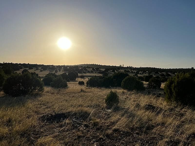 4970 Hollyhock St, Clay Springs, AZ 85923 Zillow