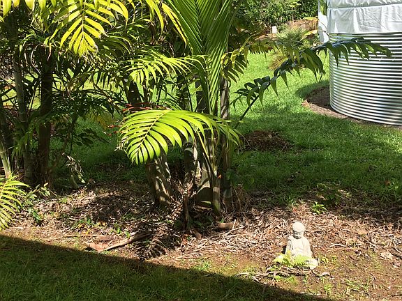 5th image of 16-2065 Hilonani Dr