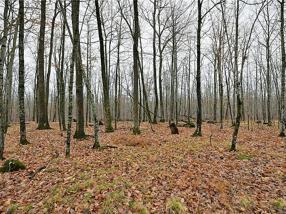 4th image of 80 acres County Highway C