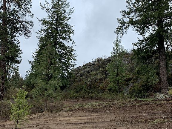 2nd image of 25450 Roosevelt View Drive N