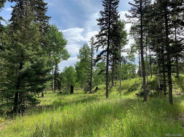 Pike National Forest Colorado Springs Real Estate 1 Homes For Sale Zillow