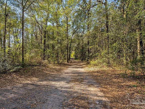 2nd image of 1998 Sid Hayes Rd