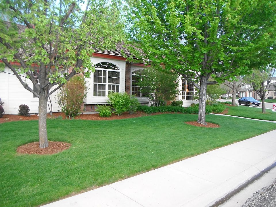 Front yard