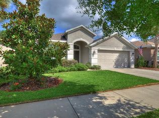 11409 Thames Fare Way, Lithia, FL 33547