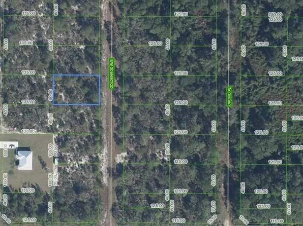 7019 Goldenrod Ave, Sebring, FL 33875
