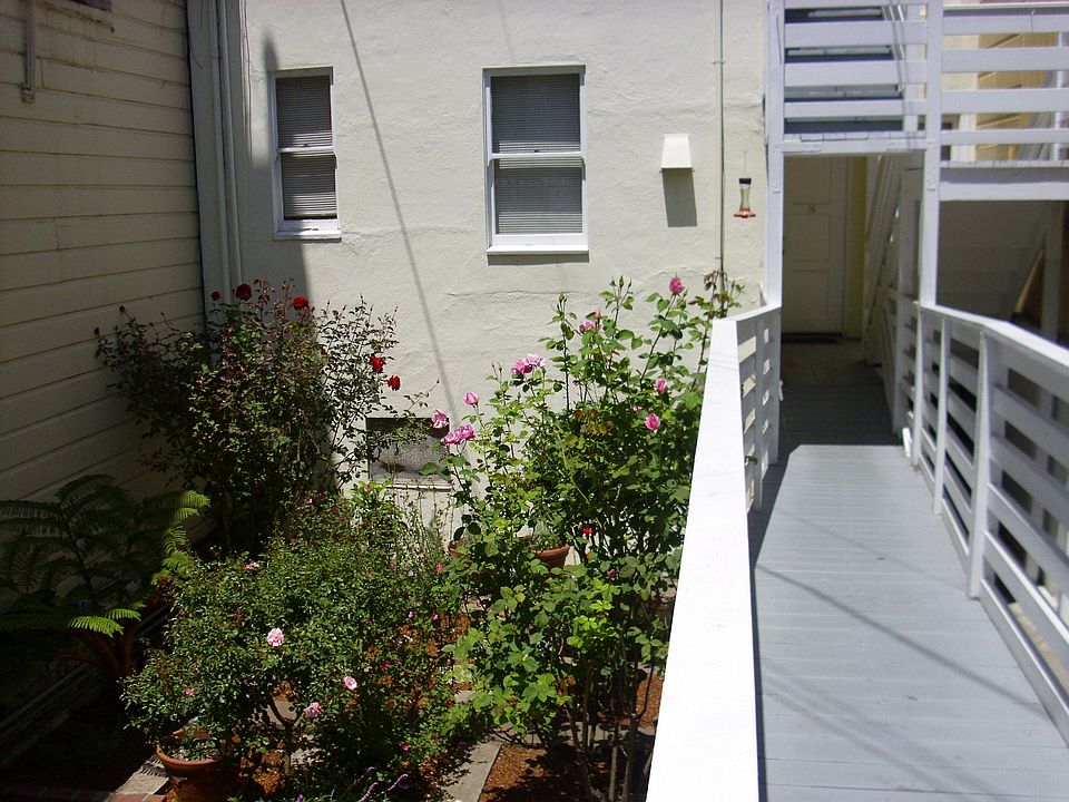 Walkway and garden