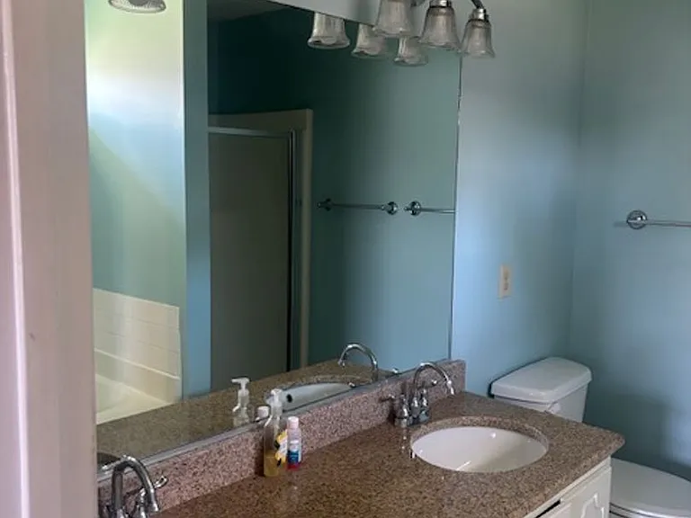 4621 Shadow Moss Ct — Photo 13
