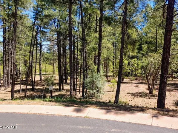 2580 Snowberry Loop, Show Low, AZ 85901
