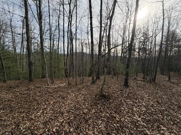 Cutcane Rd, Mineral Bluff, GA 30559