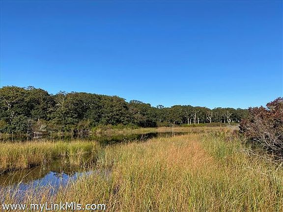 View of pond from shoreline