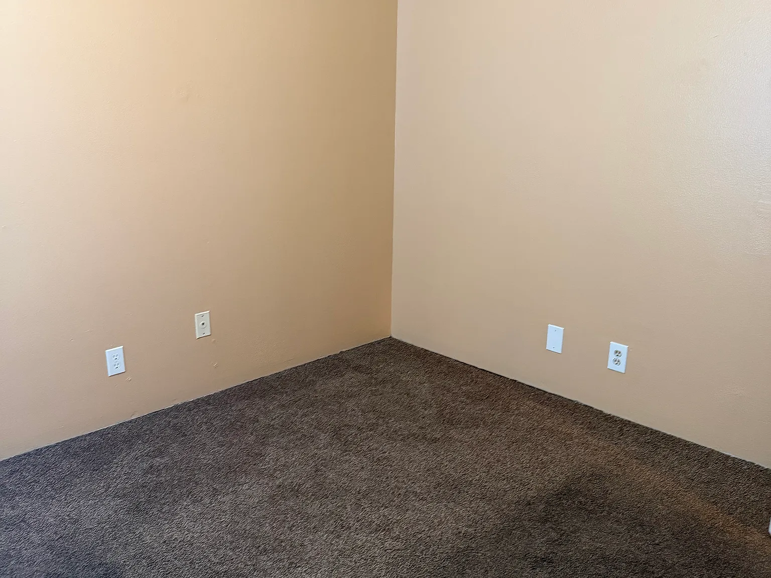 2 bed, 1.5 bath, 828 sqft, $1,600 — Photo 3