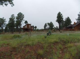 2736 Air Park Dr, Overgaard, AZ 85933